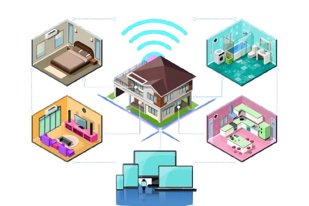 Developer & IT Services